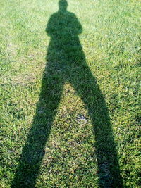 Shadow of person on field