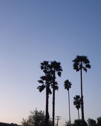 Low angle view of coconut palm trees against clear sky