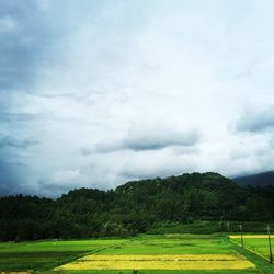 Scenic view of field against cloudy sky