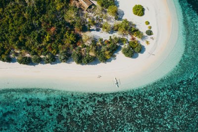 Aerial view of sea against trees