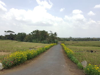 Road amidst field against sky