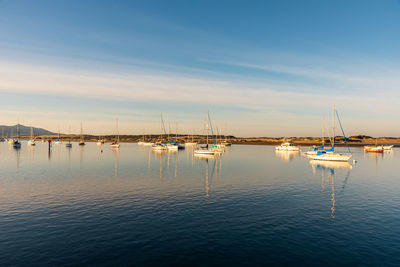 Sailboats moored in marina at sunset