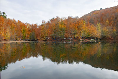 Scenic view of lake by trees during autumn