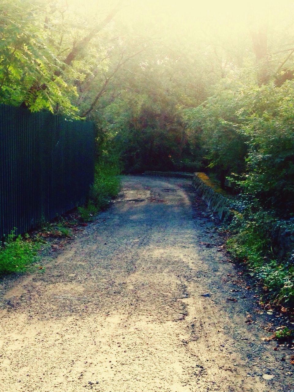 FOOTPATH LEADING TOWARDS TREES