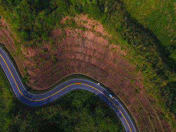 Aerial view of winding road amidst trees in forest