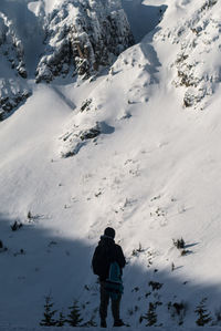 Rear view of person on snowcapped mountain
