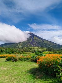 Scenic view of landscape against sky