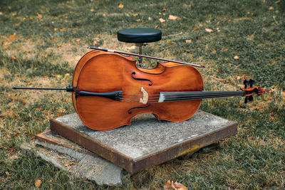 musical instrument