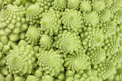 Full frame shot of romanesco cauliflower