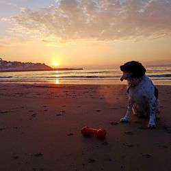 Man in sea against sky during sunset