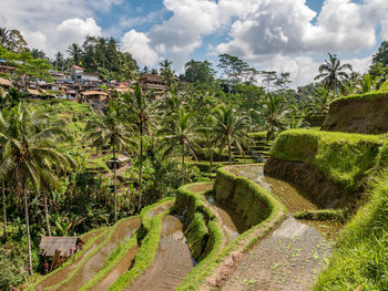 Scenic view of farm against sky