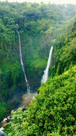 Scenic view of waterfall