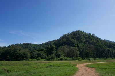 Scenic view of trees on field against sky