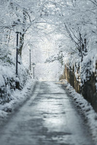 Snow covered road