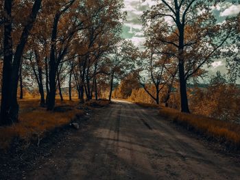 Road amidst trees during autumn