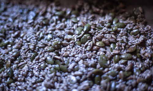 Full frame shot of ice cream