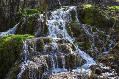 Scenic view of waterfall in forest