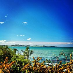 Scenic view of calm sea against blue sky