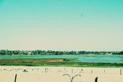 Scenic view of field against clear blue sky