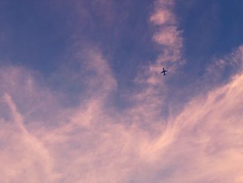 Low angle view of airplane flying in sky