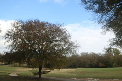 Scenic view of trees and landscape against sky