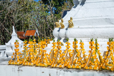 Yellow flowers growing on tree outside temple