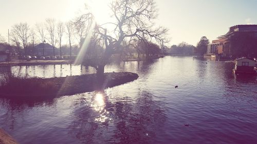 Silhouette trees by water against sky