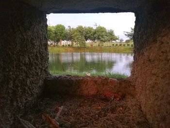 Scenic view of lake by trees