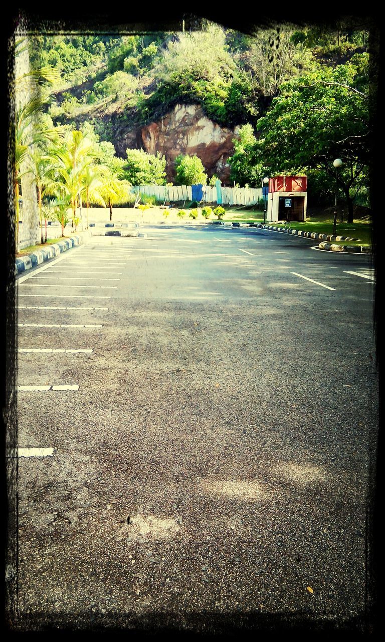 the way forward, road, transportation, transfer print, tree, road marking, asphalt, street, diminishing perspective, auto post production filter, vanishing point, empty road, empty, surface level, country road, day, outdoors, no people, tranquility, nature