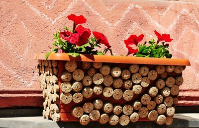 Flowers growing in decorated pot by wall