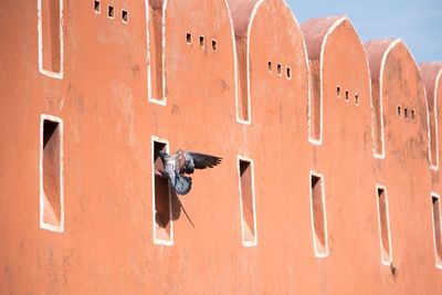 View of old building