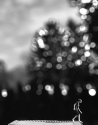 Close-up of plant against blurred background
