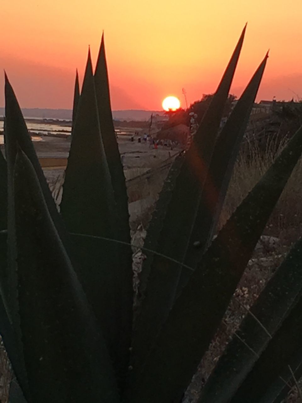 VIEW OF SEA AGAINST ORANGE SKY