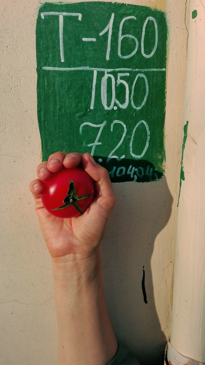 CLOSE-UP OF HAND HOLDING RED HEART SHAPE