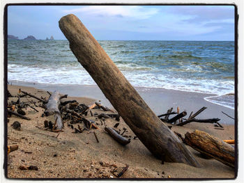 Driftwood on beach by sea against sky