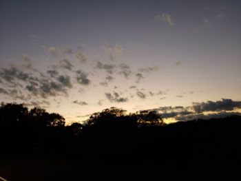 Low angle view of silhouette trees against sky during sunset