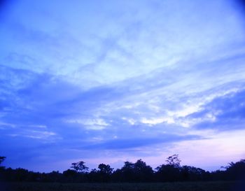 Low angle view of silhouette trees against sky