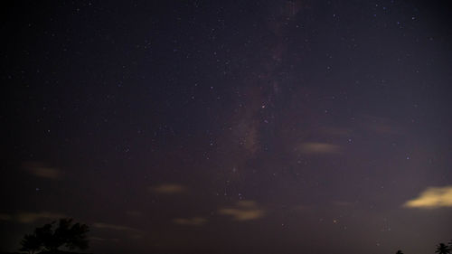 Low angle view of trees against sky at night