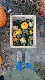 Low section of man standing by pumpkin