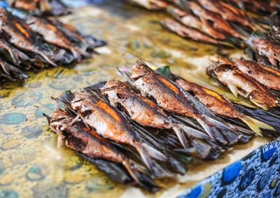 High angle view of fish on barbecue