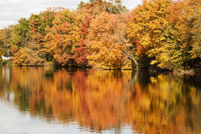 Scenic view of lake by trees during autumn