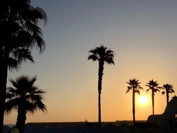 Silhouette palm trees against sky during sunset