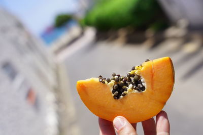 Close-up of hand holding fruit