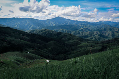 Scenic view of agricultural field against sky