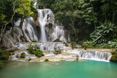 Scenic view of waterfall in forest