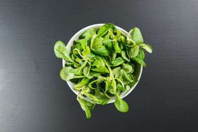 High angle view of leaf in bowl on table