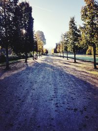 Road amidst trees against sky during autumn