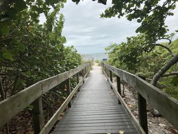 Footbridge amidst trees against sky