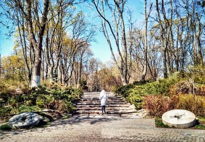 Cactus in park against clear sky