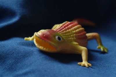 Close-up of toy lizard on fabric